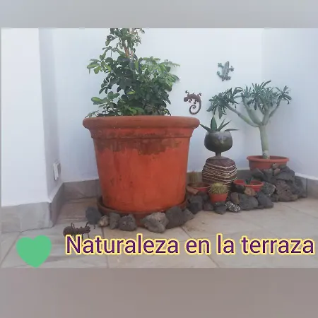 For Lanzarote Holidays House Apartamento