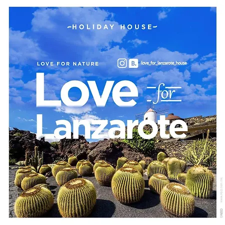 For Lanzarote Holidays House Apartment