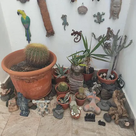 For Lanzarote Holidays House 普拉亚布兰卡